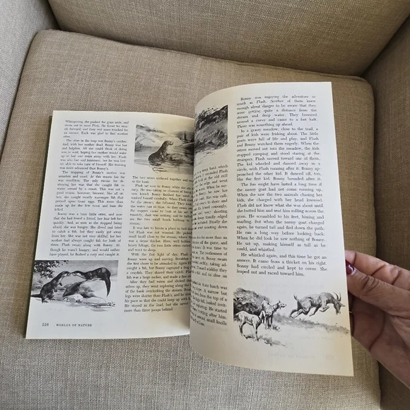 Walt Disney's Books "STORIES FROM OTHER LANDS" "WORLDS OF NATURE" 1965 - Picture 12 of 12